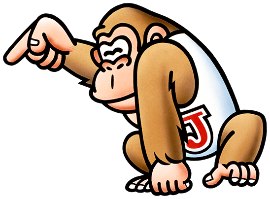 Donkey Kong Jr.